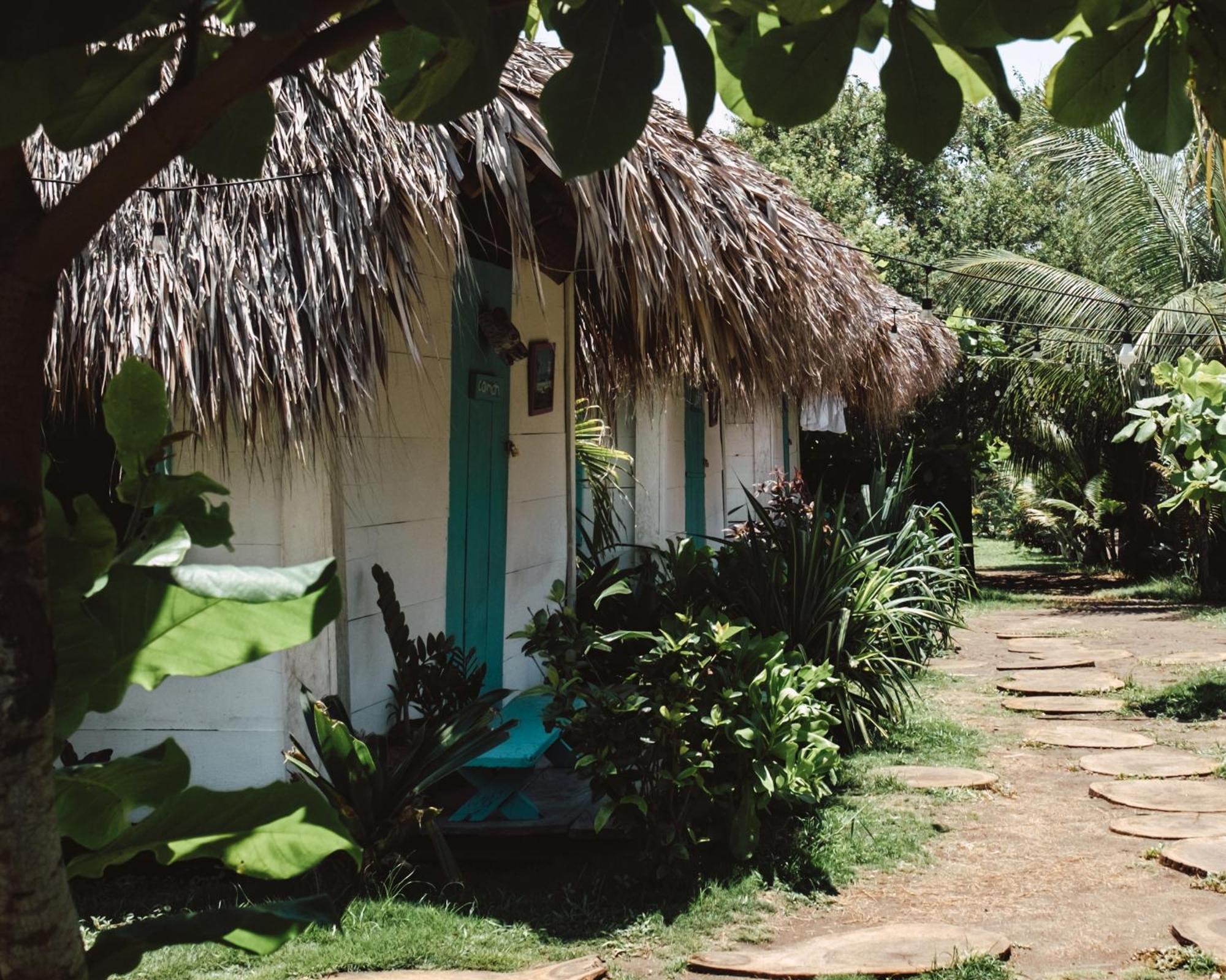 Cocori Lodge Paredon El Paredón Buena Vista Eksteriør billede