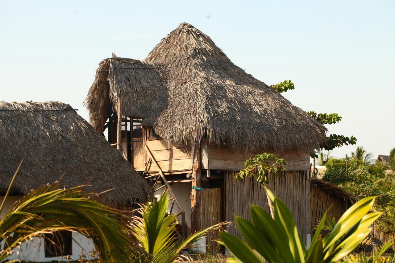 Cocori Lodge Paredon El Paredón Buena Vista Eksteriør billede