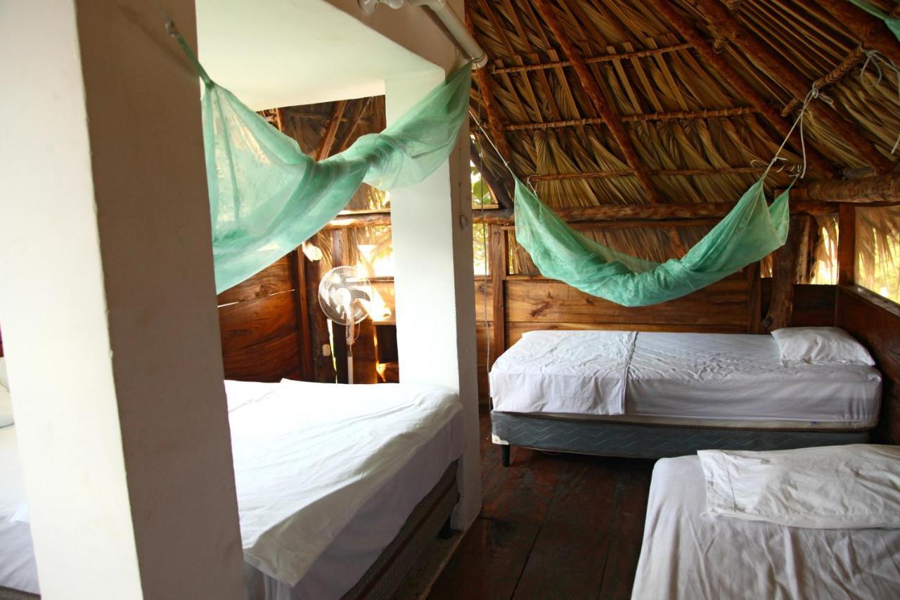 Cocori Lodge Paredon El Paredón Buena Vista Eksteriør billede